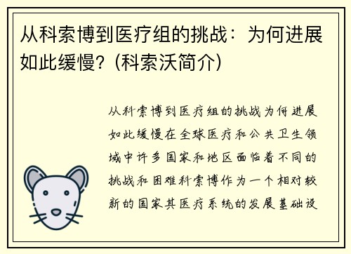 从科索博到医疗组的挑战：为何进展如此缓慢？(科索沃简介)